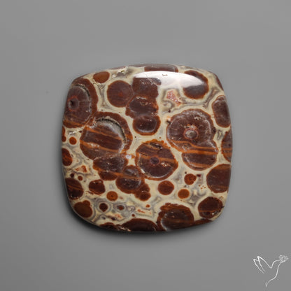 Mexican Asteroid Jasper