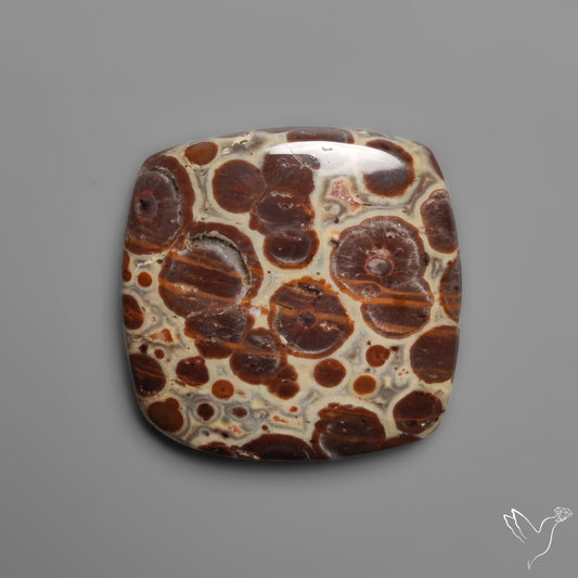 Mexican Asteroid Jasper