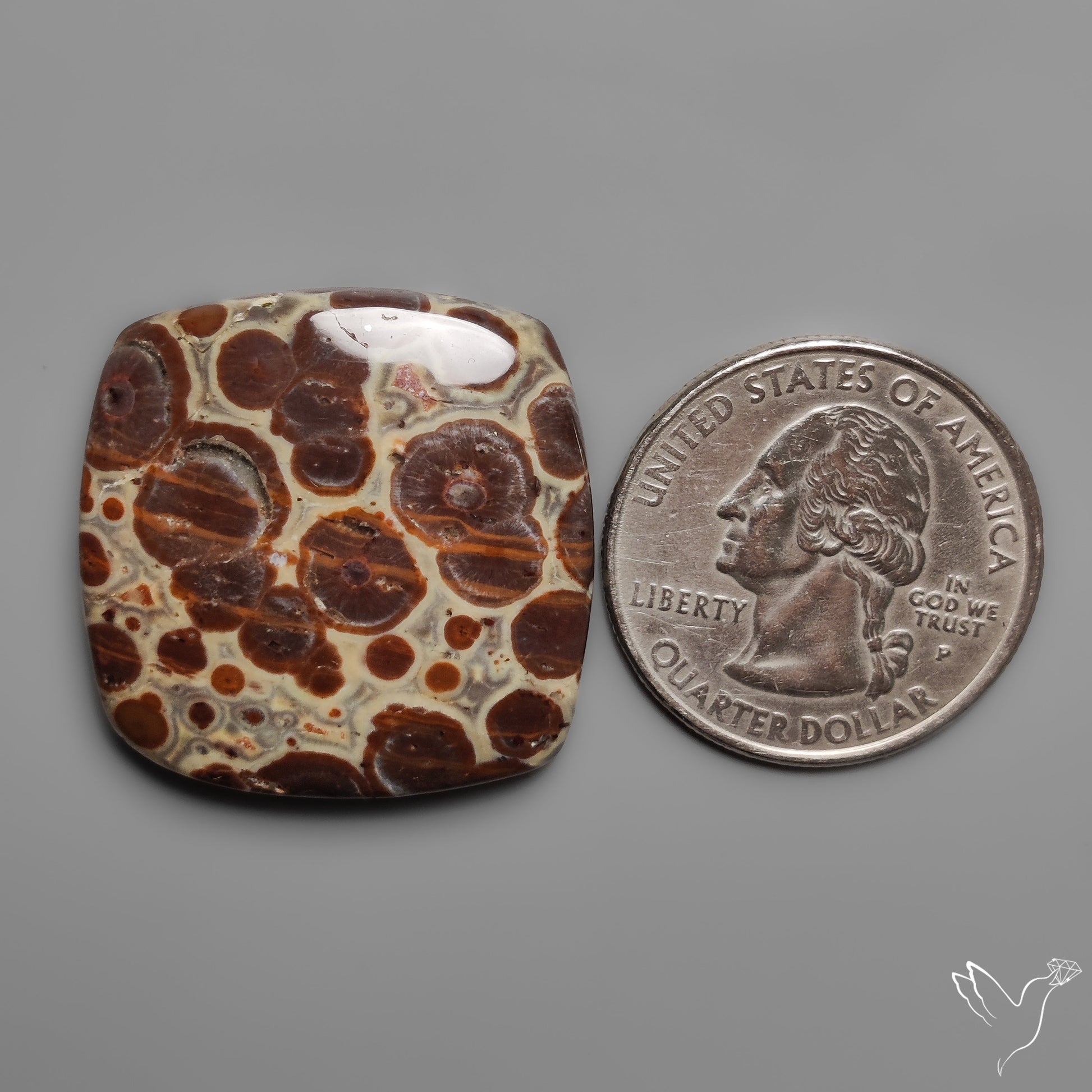 Mexican Asteroid Jasper