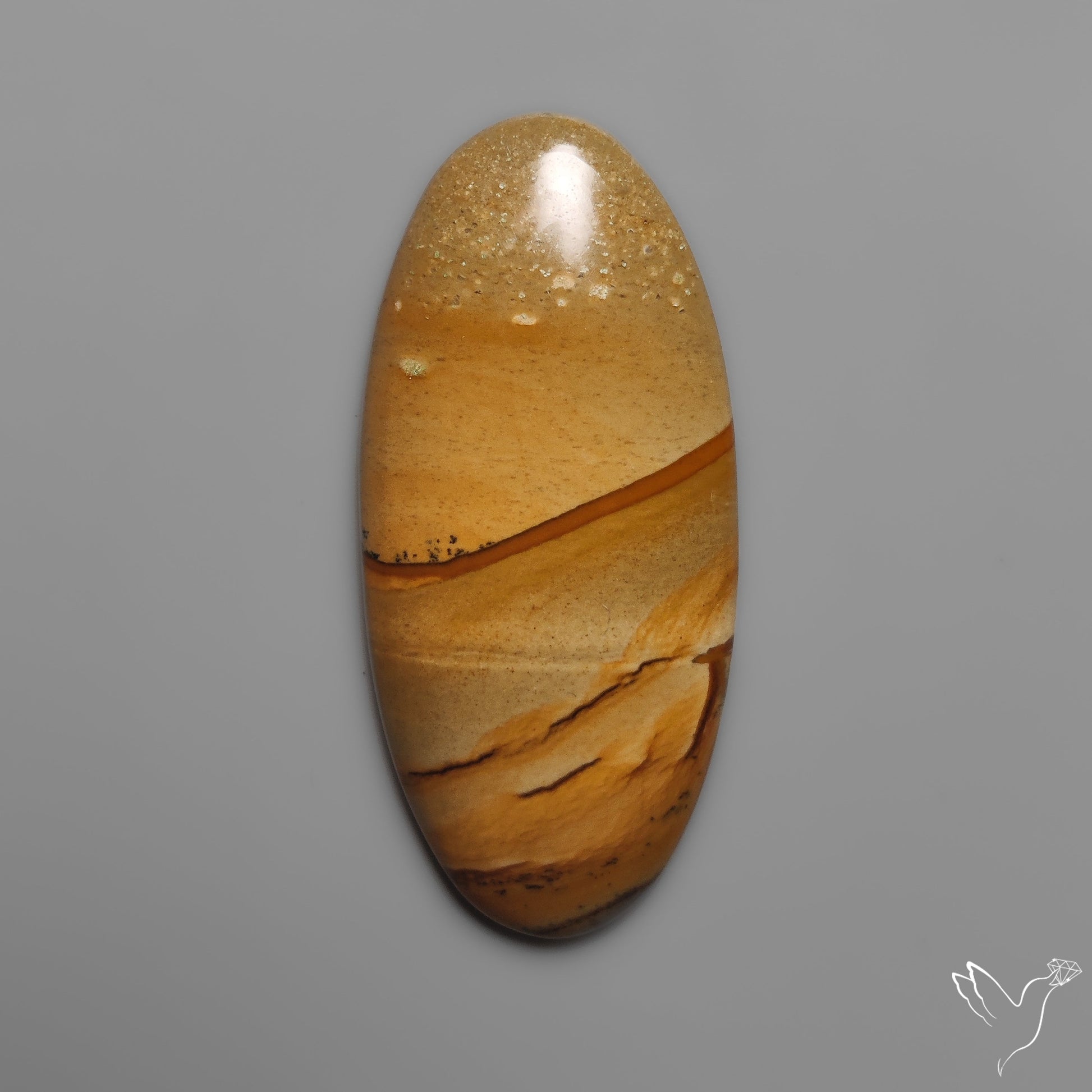 Owyhee Wild Horse Picture Jasper