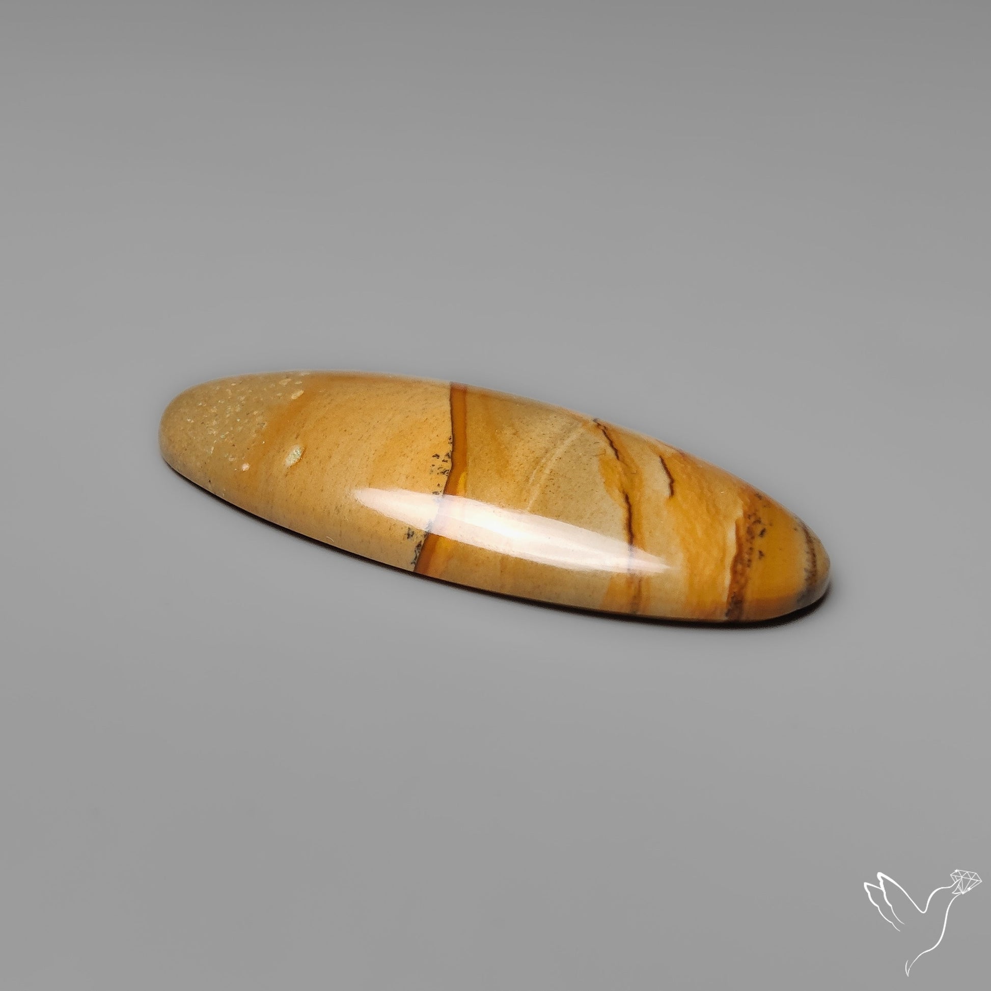 Owyhee Wild Horse Picture Jasper