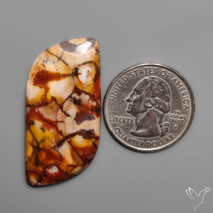 Bird Eye Jasper