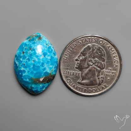 Mexican White Water Turquoise