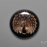 Gilded Peacock inlay in Black Onyx