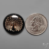 Gilded Peacock inlay in Black Onyx