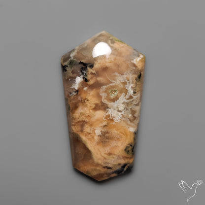 Australian Dendritic Agate