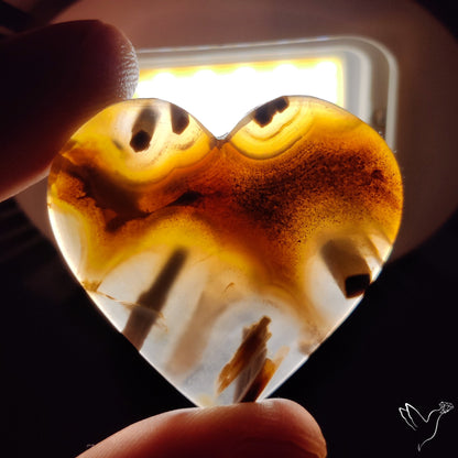 Turkish Tube Agate Heart