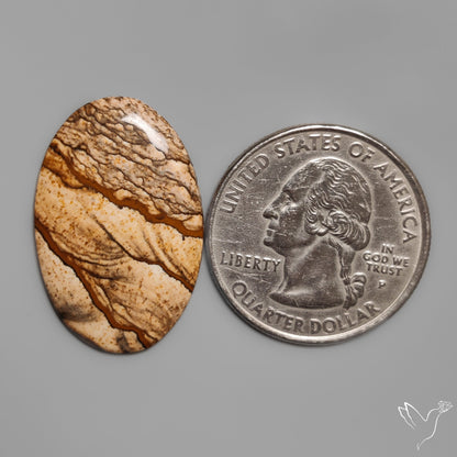 Deschutes Picture Jasper