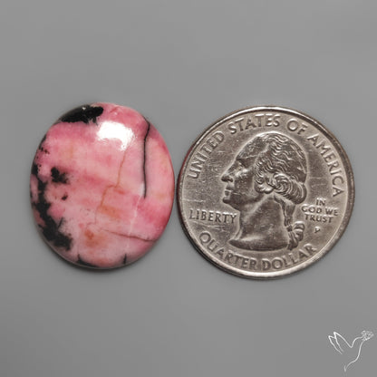 Pink Rhodonite Cabochon