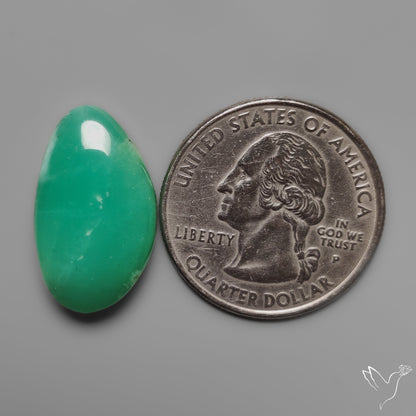 Gemmy Chrysoprase