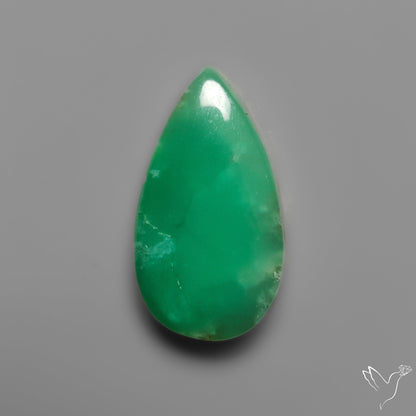 Gemmy Chrysoprase