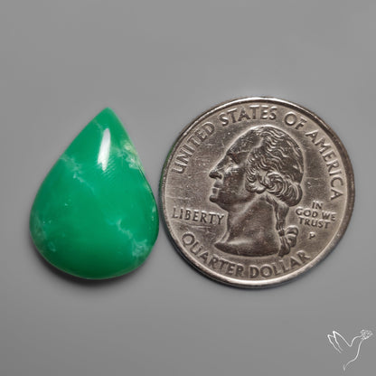 Gemmy Chrysoprase