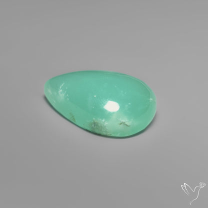 Gemmy Chrysoprase
