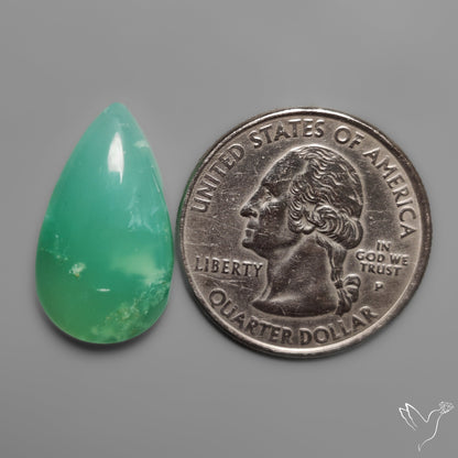Gemmy Chrysoprase