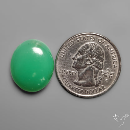 Gemmy Chrysoprase