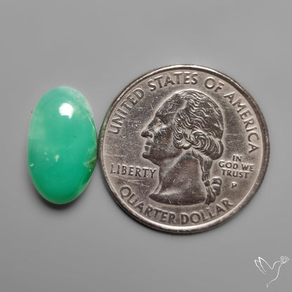 Gemmy Chrysoprase