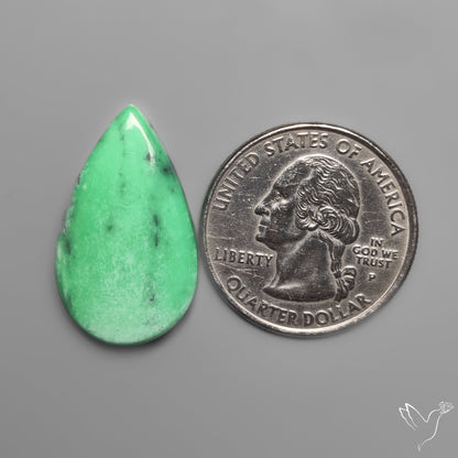Australian Variscite