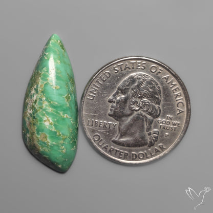 Australian Variscite