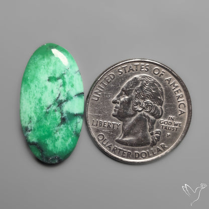 Australian Variscite