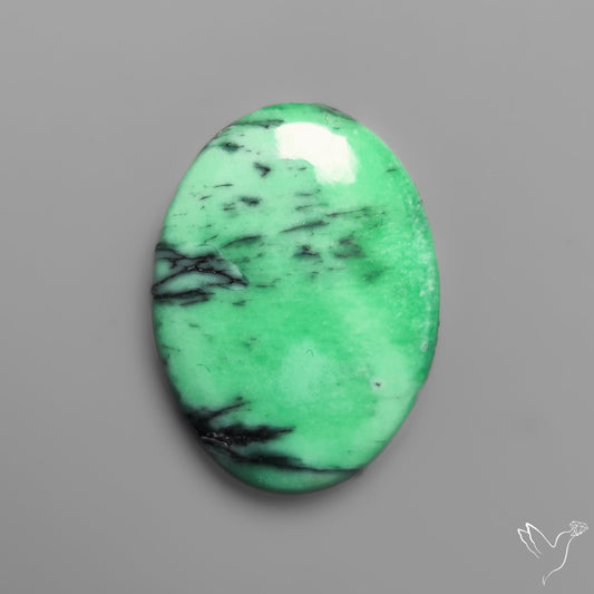 Australian Variscite