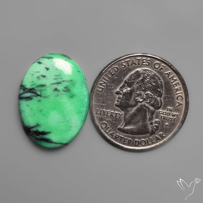 Australian Variscite