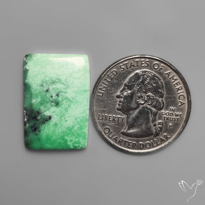 Australian Variscite