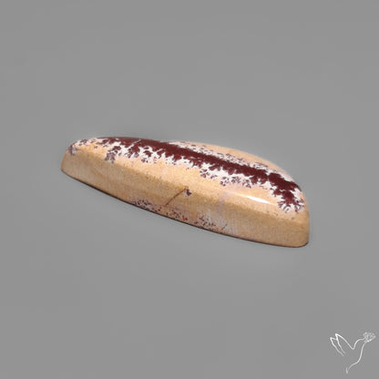 Sonoran Dendritic Rhyolite Cabochon