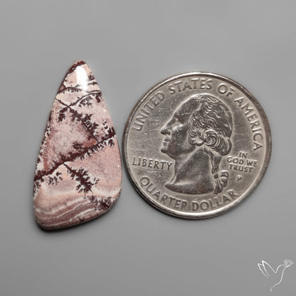 Sonoran Dendritic Rhyolite Cabochon