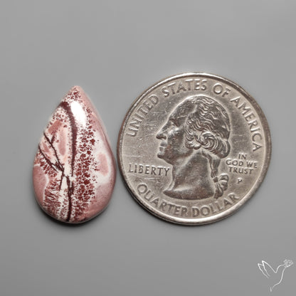 Sonoran Dendritic Rhyolite Cabochon