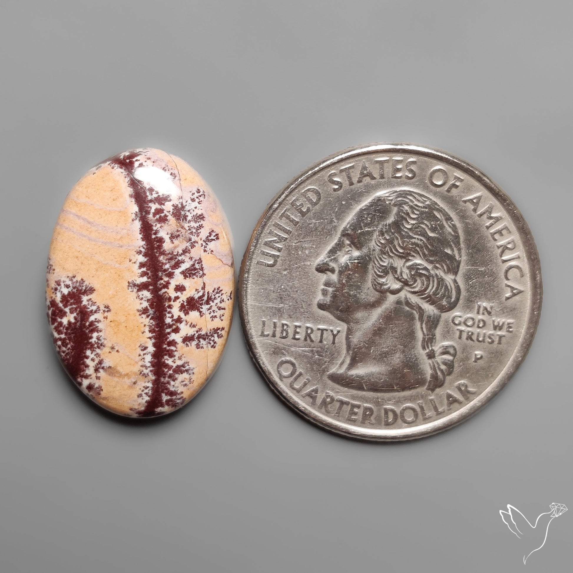 Sonoran Dendritic Rhyolite Cabochon