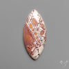 Sonoran Dendritic Rhyolite Cabochon
