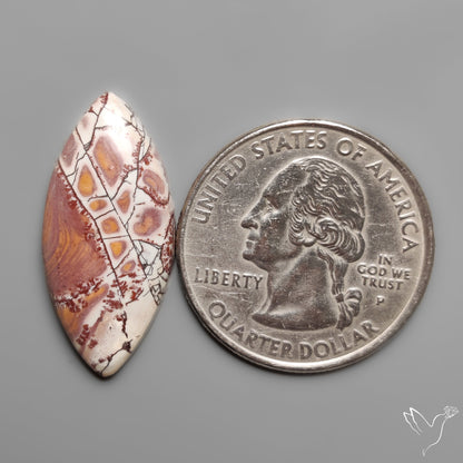 Sonoran Dendritic Rhyolite Cabochon