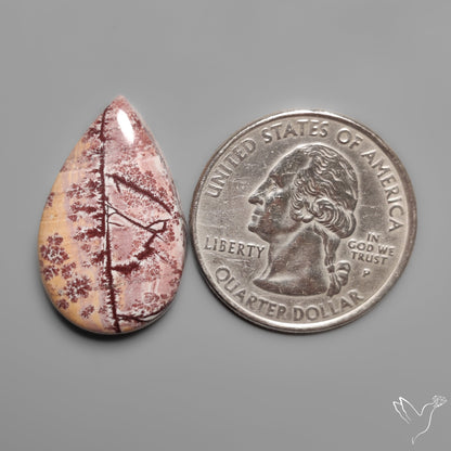 Sonoran Dendritic Rhyolite Cabochon