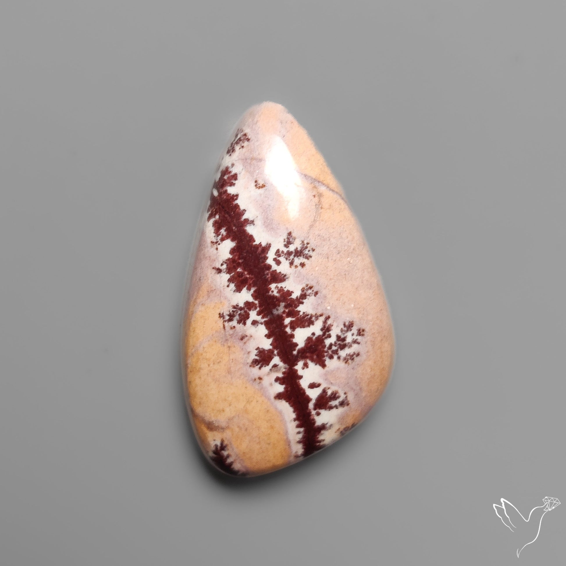 Sonoran Dendritic Rhyolite Cabochon