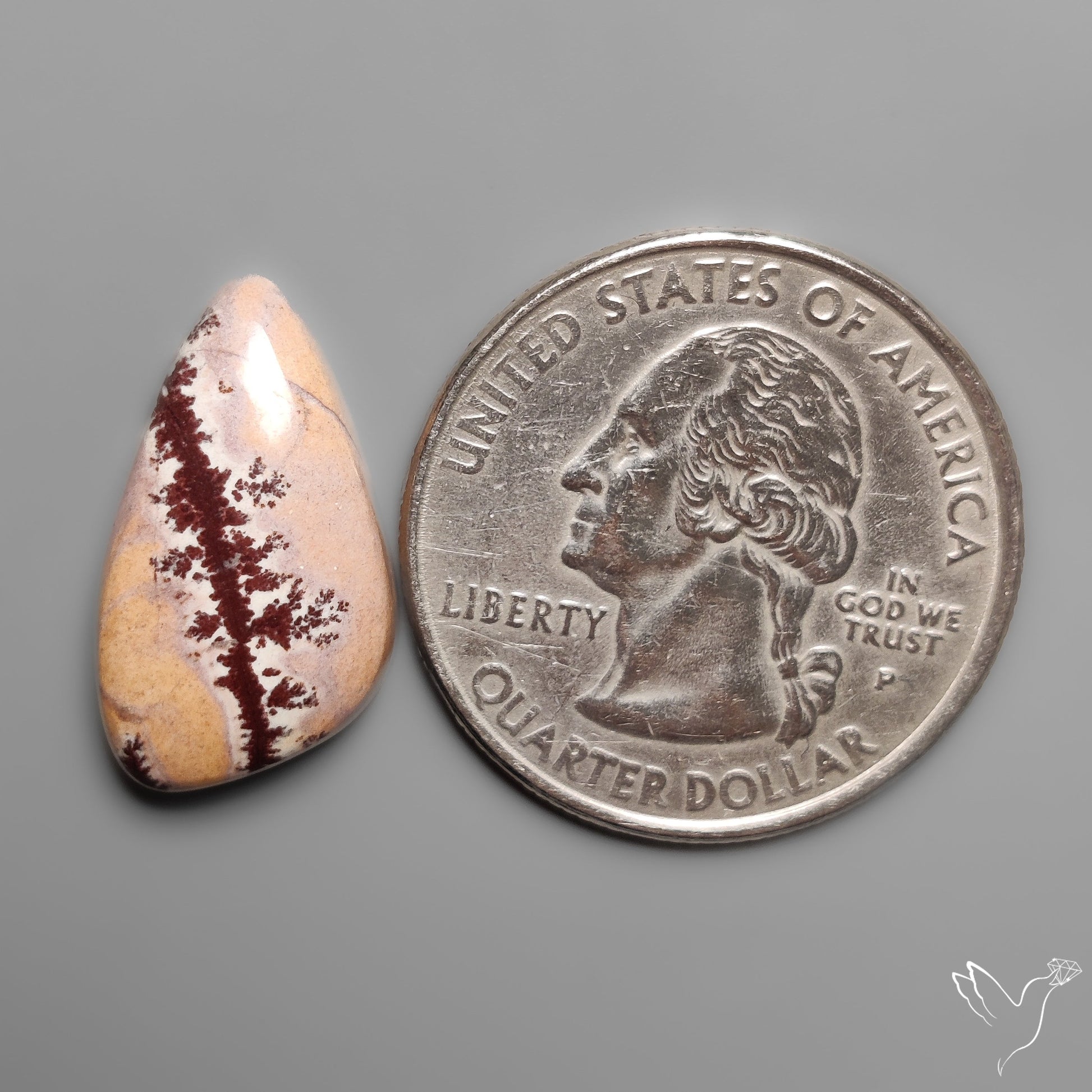 Sonoran Dendritic Rhyolite Cabochon