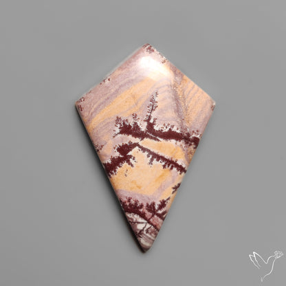 Sonoran Dendritic Rhyolite Cabochon