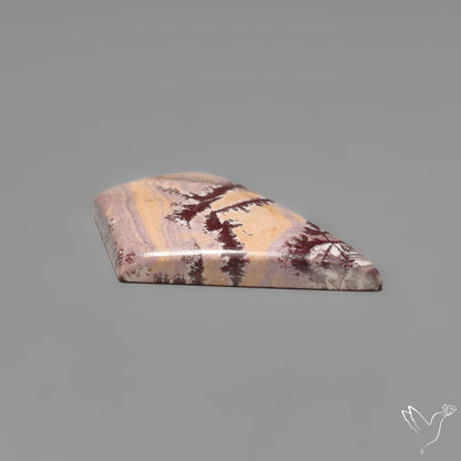 Sonoran Dendritic Rhyolite Cabochon