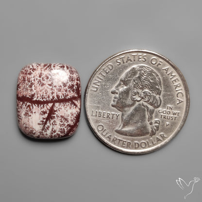 Sonoran Dendritic Rhyolite Cabochon