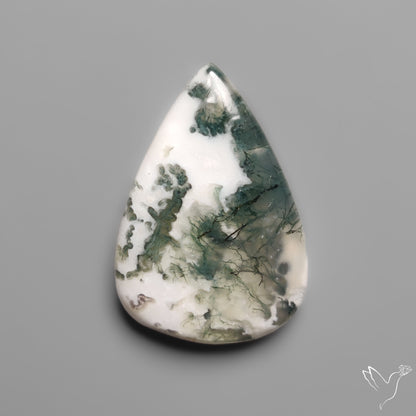 Tree Moss Agate Cabochon