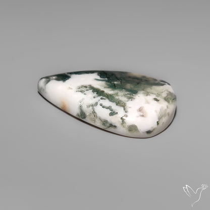 Tree Moss Agate Cabochon