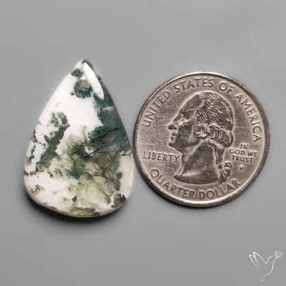 Tree Moss Agate Cabochon
