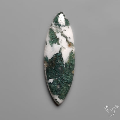 Tree Moss Agate Cabochon