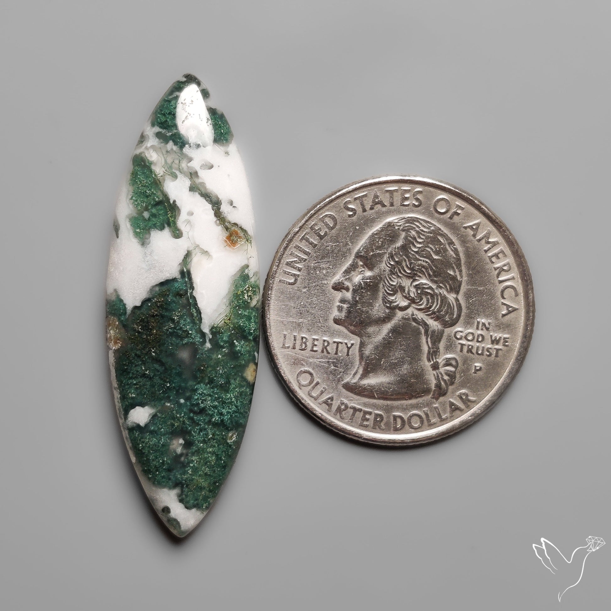 Tree Moss Agate Cabochon