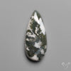 Tree Moss Agate Cabochon