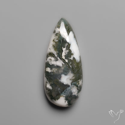 Tree Moss Agate Cabochon