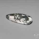 Tree Moss Agate Cabochon