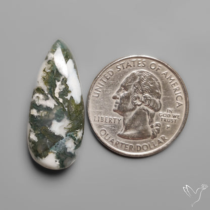 Tree Moss Agate Cabochon