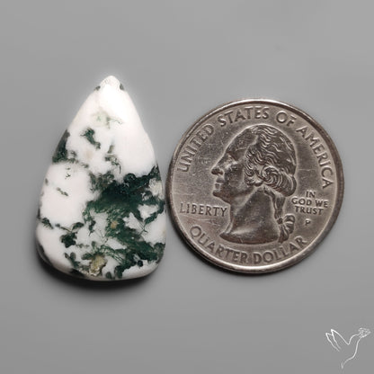 Tree Moss Agate Cabochon