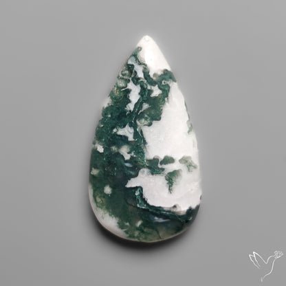 Tree Moss Agate Cabochon