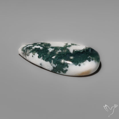 Tree Moss Agate Cabochon